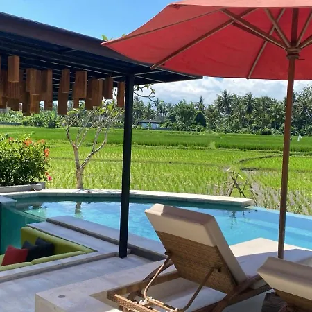 Villa Cakra - 4 Bedroom Luxury Villa With Infinity Pool And Paddy Field View Ubud Exterior photo