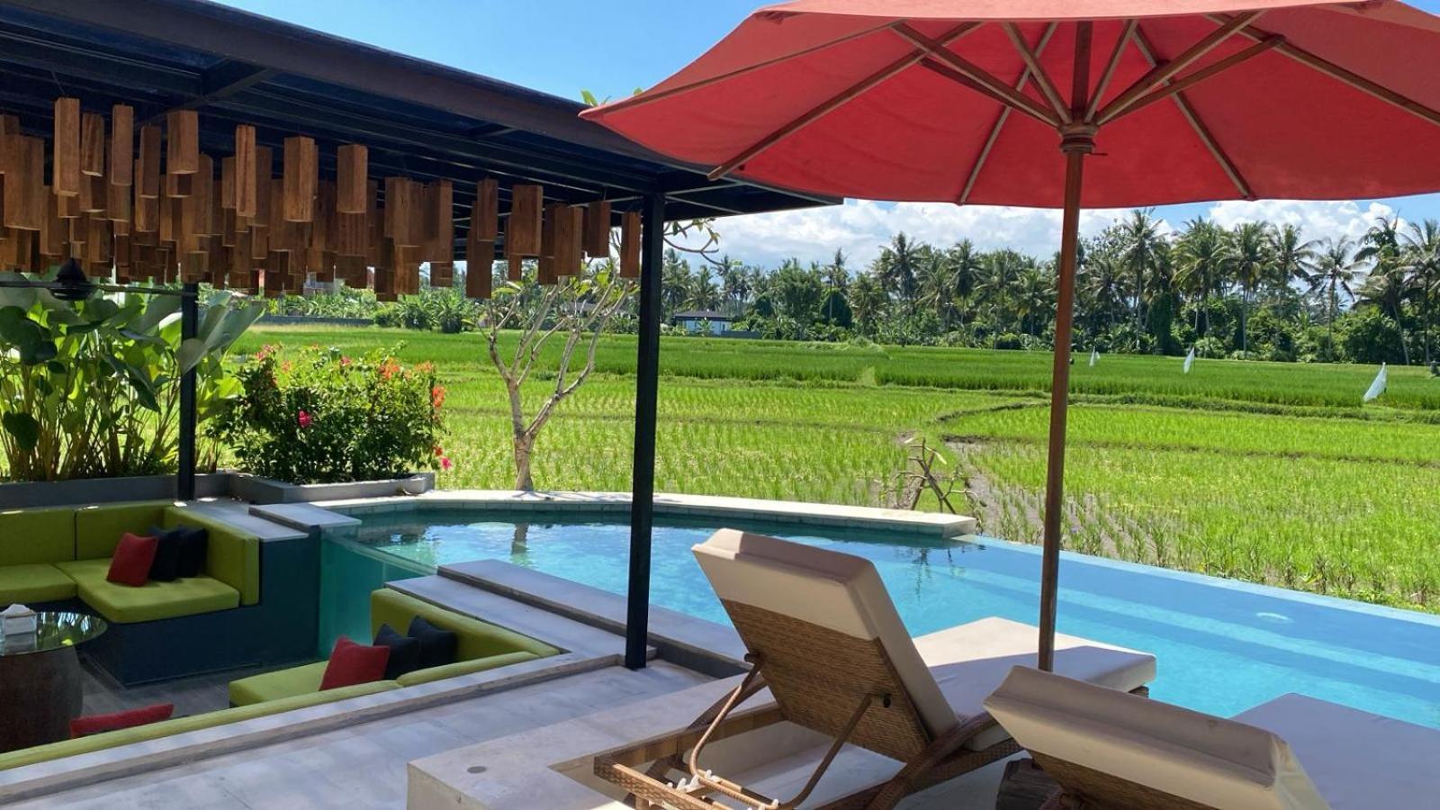 Cakra - 4 Bedroom Luxury With Infinity Pool And Paddy Field View Ubud